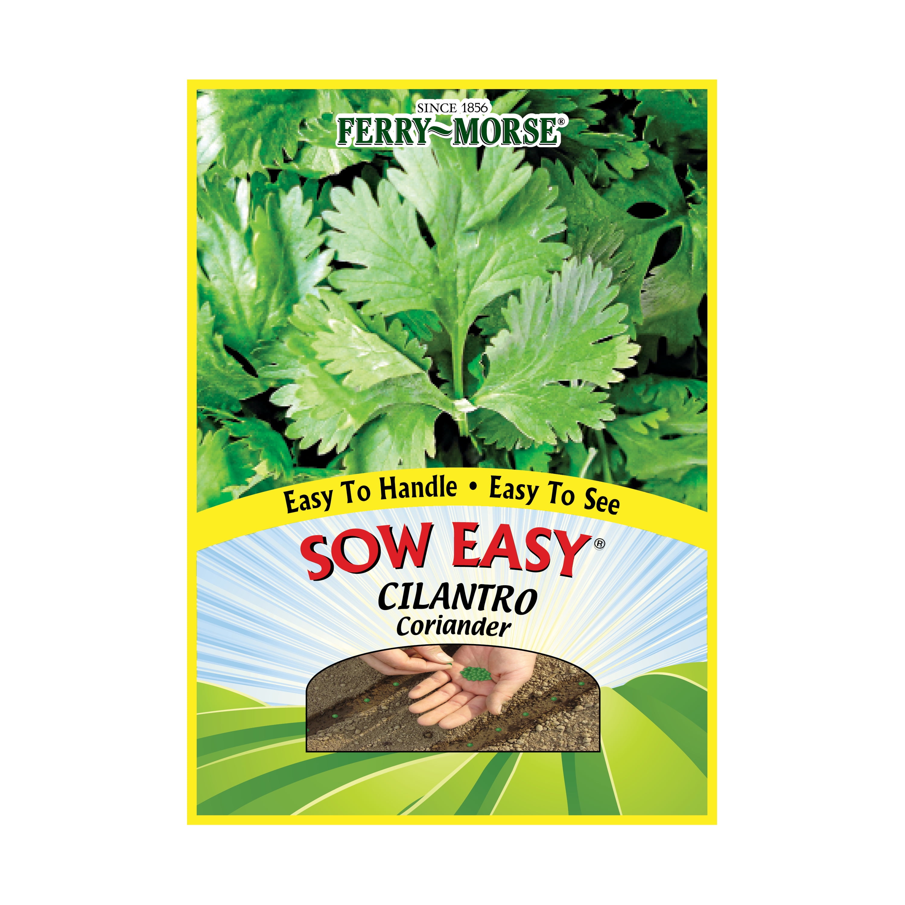 FerryMorse Sow Easy Cilantro Coriander Herb Plant Seeds (1 Pack) Seed