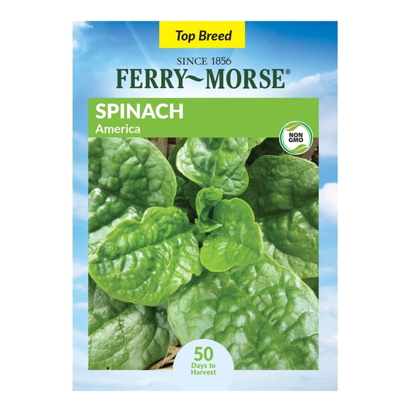Ferry-Morse 2G Spinach America Annual Vegetable Seeds, Part - Full Sun