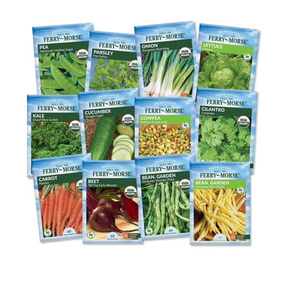 Ferry-Morse Succession Planting Heirloom Seed Variety Pack Direct Sow Garden Kit for Raised Beds & Containers - 12 Pack