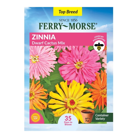 Ferry-Morse 400MG Zinnia Dwarf Cactus Mix Annual Flower Seeds, Full Sun