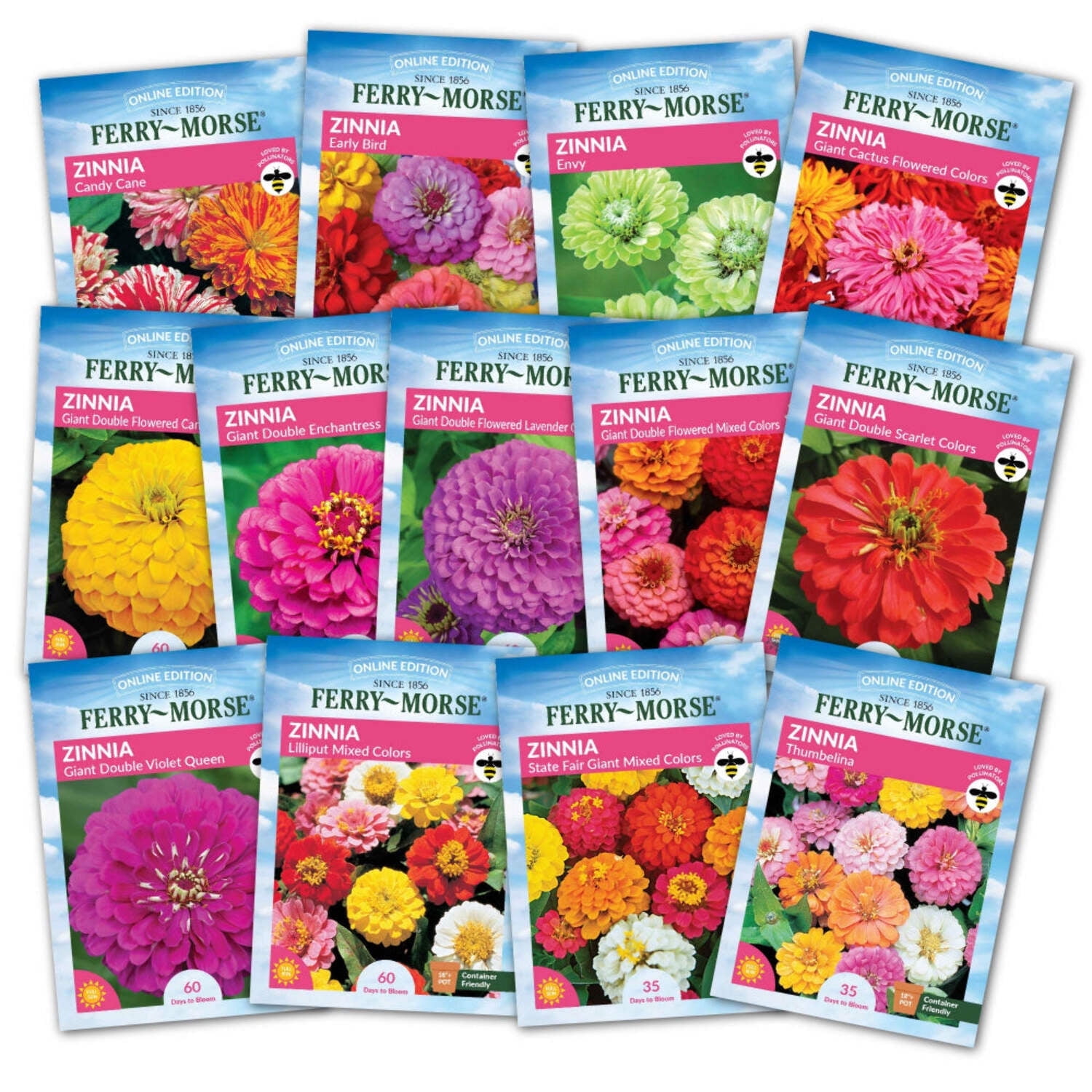 Ferry-Morse Zinnias Galore Flower Seed Variety Pack - 13 Pack