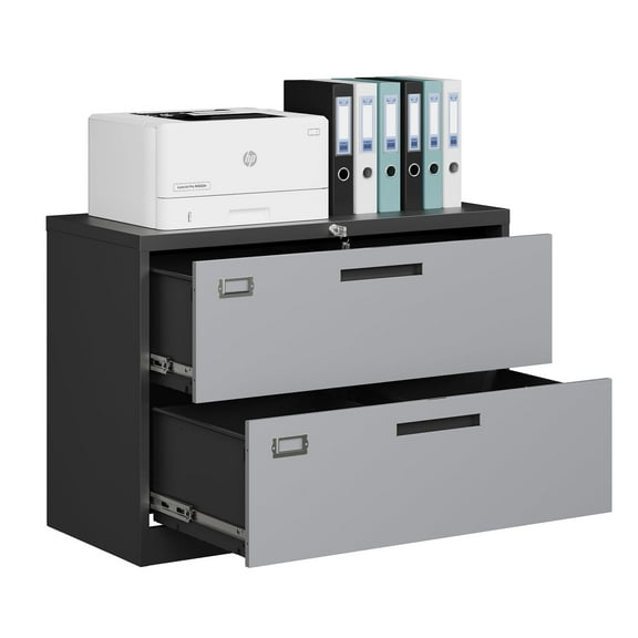 Fesbos File Cabinet with Lock-Lateral 2 Drawer Metal Filing Cabinets-Organization Storage Cabinets for Home Office-Hanging Letter/Legal/F4/A4 Size