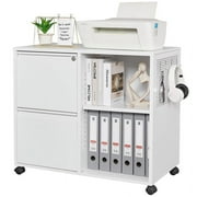 Fesbos File Cabinet with Lock, Metal Rolling Storage Cabinet for Home Office Organization,2 Drawer Lateral Filing Cabinet with Hooks for Letter/Legal/A4 Size