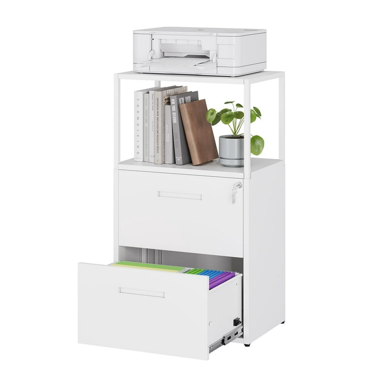 Fesbos Office File Cabinet With 2