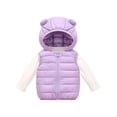 thumbnail image 1 of Fesfesfes Baby Toddler Unisex Hooded Puffer Vest with Bear Ears Lightweight Zip Up Warm Quilted Sleeveless Outerwear for Boys Girls 0-5 Years, 1 of 5