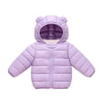 thumbnail image 1 of Fesfesfes Baby Toddler Unisex Winter Puffer Jacket Solid Color Hooded Coat with Bear Ears Full Zip Lightweight for Boys Girls 0-5 Years, 1 of 5