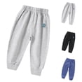 thumbnail image 1 of Fesfesfes Boys And Girls Sweatpants Children Casual Thin Pants Toddler Elastic Waistband Pants, 1 of 4