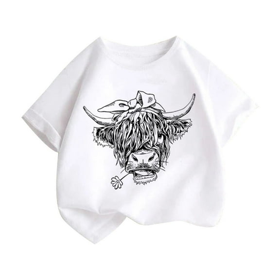 Fesfesfes 2-13 Years Girls Cotton Short Sleeve Shirts Toddler Soft Crewneck T-Shirts Solid Summer Tees Casual Tops for Children Everyday Wear(White#2,12-13 Years)