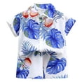 thumbnail image 1 of Fesfesfes Boys and Girls Clothes Set Children Fashion Beach Short Sleeve Button-Down Shirt +Casual Shorts Summer Outfit 1-14 Years(Blue#2,10 Years), 1 of 3