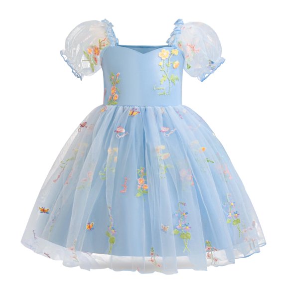 Fesfesfes Girls' Summer Lace Princess Dress Ruffled Sleeveless Embroidery Mesh Bow Dresses,Round Neck Party Dress,Spring Summer Fashion Printed Outfit for Kids(Blue,1 Years)