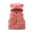 thumbnail image 1 of Fesfesfes Kids Hooded Fleece Vest with Bear Ears Full Zip Sleeveless Winter Warm Gilet, Cute Plush Outerwear for Boys and Girls Ages 1-6 Years, 1 of 9