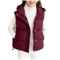 thumbnail image 1 of Fesfesfes Kids Hooded Puffer Vest Sleeveless Fleece Lined Winter Outerwear, Warm Quilted Gilet for Boys and Girls Ages 5-16 Years, 1 of 7