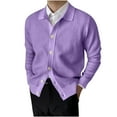 thumbnail image 1 of Fesfesfes Men's Lapel Knitted Sweater Lightweight Cardigan Sweater Elastic Slim Sweater Tunic Tops Clothes Sale, 1 of 3