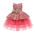 thumbnail image 1 of Fesfesfes Toddler Girls Chiffon Dress Net Yarn Embroidery Bowknot Birthday Party Dress Gown Kids Cute Dresses On Sale, 1 of 4