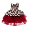 thumbnail image 1 of Fesfesfes Toddler Girls Chiffon Dress Net Yarn Embroidery Bowknot Birthday Party Dress Gown Kids Cute Dresses Spring Saving, 1 of 4