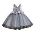 thumbnail image 1 of Fesfesfes Toddler Kid Girl Lace Sleeveless Dress Princess Gown Party Tulle Dress Cosplay Dress Under 10$, 1 of 9