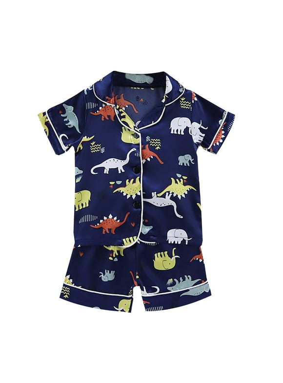 Boys' Dinosaur Clothing
