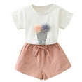 thumbnail image 1 of Fesfesfes Toddler Kids Baby Girls Outfits Clothes Print Flower T-Shirt+Bowknot Shorts Set, 1 of 9
