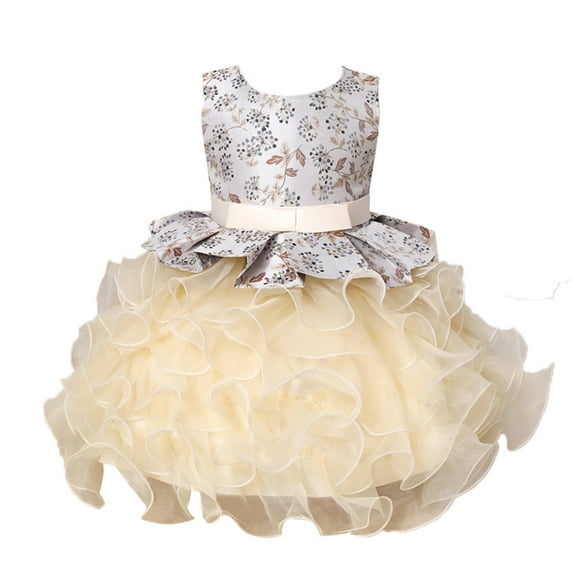 Fesfesfes Toddler Kids Baby Girls Puffy Dress Floral Lace Ball Gown Princess Dress Party Dress Clothes On Sale