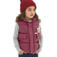 thumbnail image 1 of Fesfesfes Winter Kids Sleeveless Outwear Puffer Jacket Girls Boys Lightweight Zipper or Buttons Warm Outerwear Coat with Pocket Fashionable Quilted Tops Thick Casual Wear(Wine#3,3-4 Years), 1 of 4