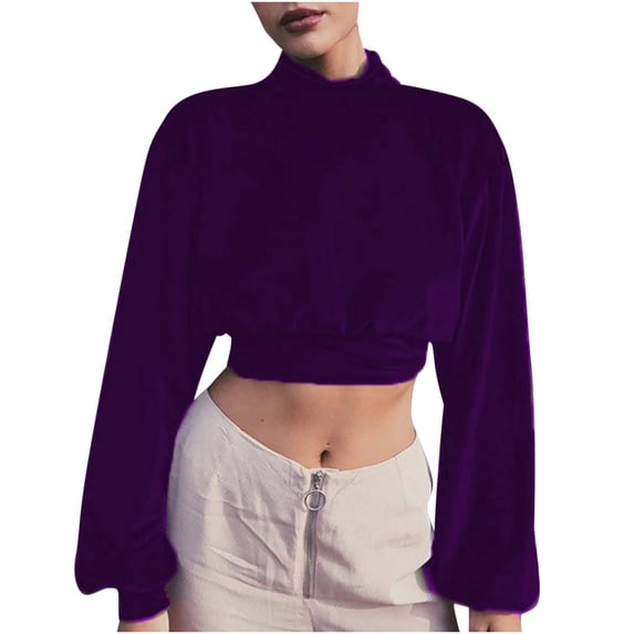 Fesfesfes Women Flannel Shirt 2022 Fall And Winter New Fashion High-neck Velvet Shorts Cropped Navel Thin Sweater Slim Long-sleeved Top On Sale
