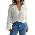 thumbnail image 1 of Fesfesfes Women Sweaters Casual Lapel Neck Solid Long Sleeve Loose Sweater Fall Blouse Tops Tops on, 1 of 8