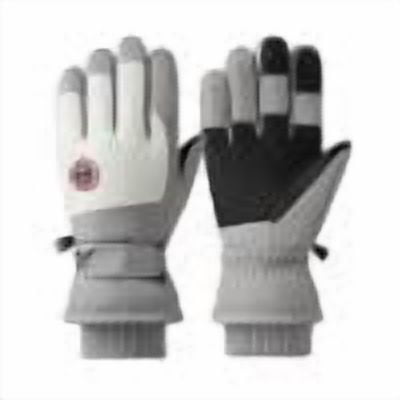 Fesfesfes Women's Winter Heated Warm Gloves All Finger Adjustable Temperature Removable Washable Ideal for Cold Weather Keeping Your Hands Warm(Gray,Free Size)