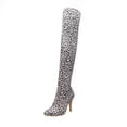 thumbnail image 1 of Fesfesfes Womens Boot Leopard Print Pointed Toe Slim And Warm Super High Heel Over-the-knee US:6(37), 1 of 9