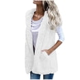 thumbnail image 1 of Fesfesfes Womens Casual Fleece Vest Solid Color Outerwear Winter Warm Plush Cardigan Comfy Sleeveless Coat With Pockets Under $10, 1 of 5