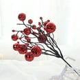 thumbnail image 1 of Festive Twig Ornaments with Berry Accents DIY Decor Accessories for Christmas Tree Wreath Holiday Celebration Home Decoration Arrangement, 1 of 9