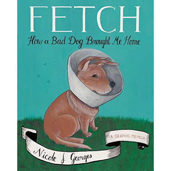 Pre-Owned Fetch: How a Bad Dog Brought Me Home (Paperback) 0544577833 9780544577831