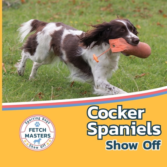 Fetch Masters: Sporting Dogs Show Off Cocker Spaniels Show Off, Book 1, (Paperback)