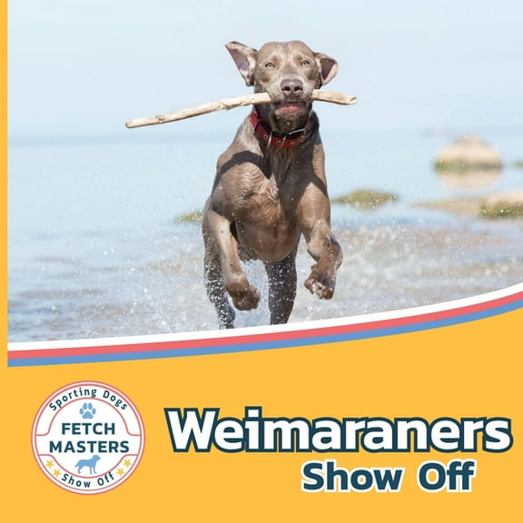 Fetch Masters: Sporting Dogs Show Off Weimaraners Show Off, Book 4, (Paperback)