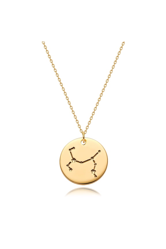 14K Gold Plated Personalized Zodiac Coin 12 Constellation Horoscope Pendant Necklace Birthday Gift for Women