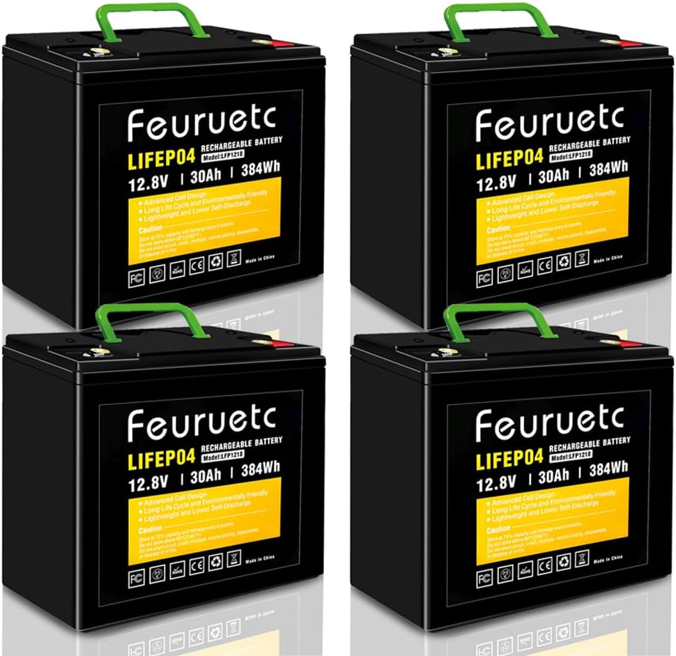 Feuruetc 12V 30Ah Deep Cycle LiFePO4 Battery, 4000+ Cycles, Maintenance-Free Battery for Camping Fish Finder, Scooter, Security System, Ride on ToysUPS etc Rechargeable Lit(12V30A-4packs)