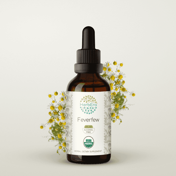 HerbEra Feverfew Tincture, Organic Herbal Dietary Supplement for Nervous System Balance, Certified Organic Feverfew (Tanacetum parthenium) Dried Herb Extract, Natural, Alcohol-Free, Drops 2 oz