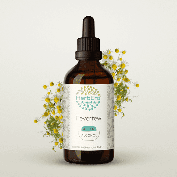 HerbEra Feverfew Tincture, Herbal Dietary Supplement for Nervous System Balance, Feverfew (Tanacetum parthenium) Dried Herb Extract, Natural, Alcohol Tincture, Drops 4 oz