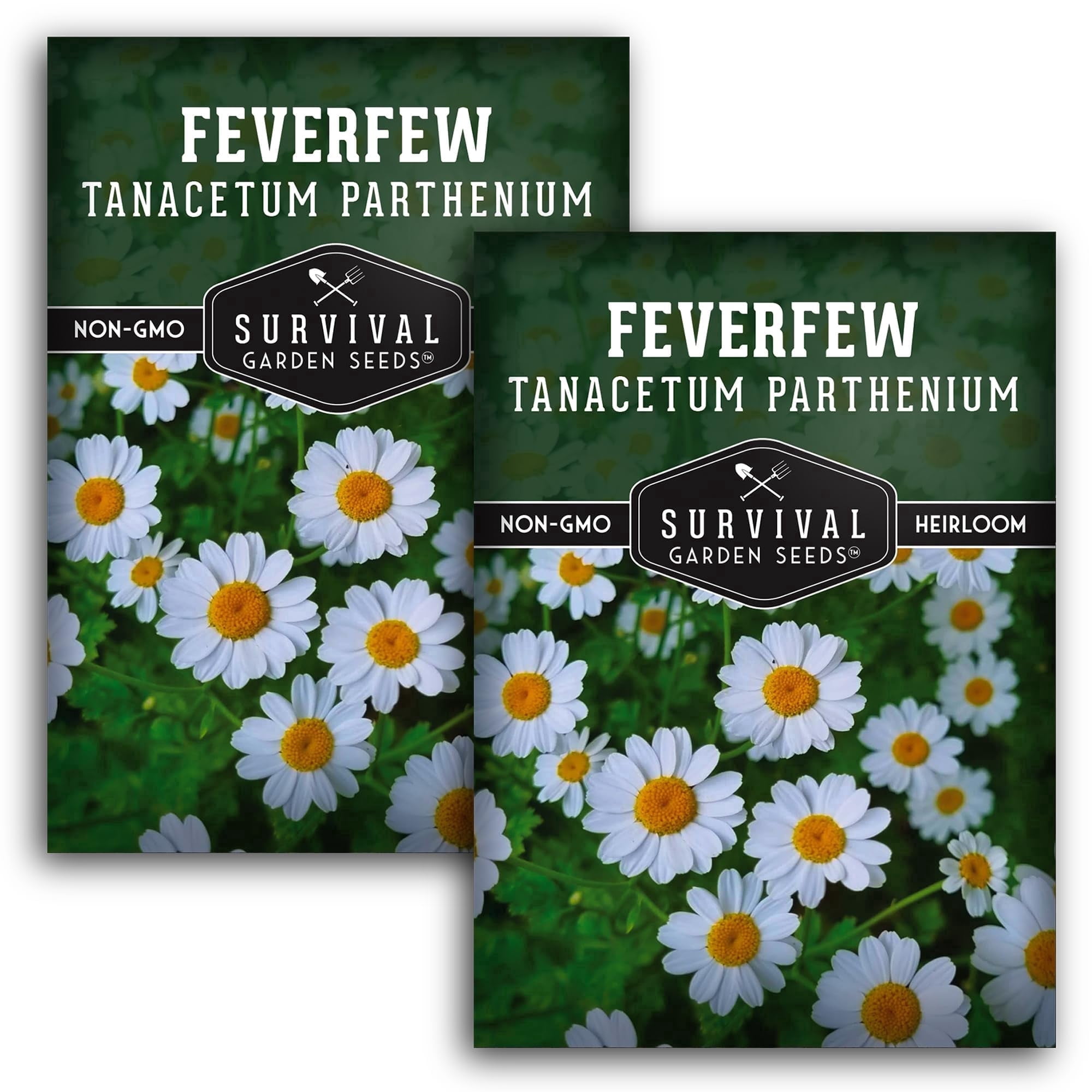 Feverfew Seeds - Bachelor's Buttons - Perennial Full Sun Herb - Walmart ...