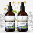 thumbnail image 1 of Secrets Of The Tribe Feverfew Organic Tincture Dietary Supplement, Natural Herbal Extract for Nervous System Balance, Certified Organic Feverfew (Tanacetum parthenium) Dried Herb, Alcohol-Free 2x4 oz, 1 of 6