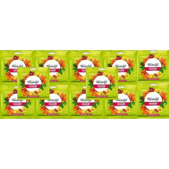 Fevicryl Mould Clay 12 pcs for Modelling and Sculpting, Air Dry Clay for 3D DIY Making Drawing Art and Craft, Painting Artists, Students, Works Handmade Decoration Gift for any Occasion Etc