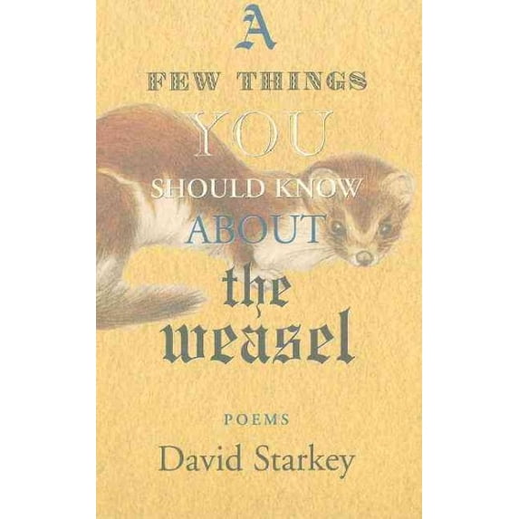 Few Things You Should Know About the Weasel