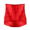thumbnail image 1 of Fewfanhot Women's Lace Mesh Shapewear High Waisted Tummy Control - Breathable Seamless Elastic Panties Girdle Underwear, 1 of 2