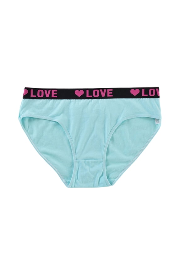 Women's Plus Size High Waist Lace Briefs Thin Breathable Seamless Design Soft Comfortable Stretchy Underwear for Curvy Women Daily Wear