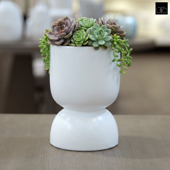 Feya Sculpted Stoneware Pot with Pedestal Base