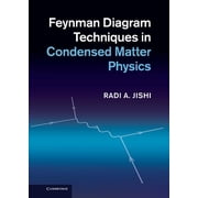 Feynman Diagram Techniques in Condensed Matter Physics, Hardcover
