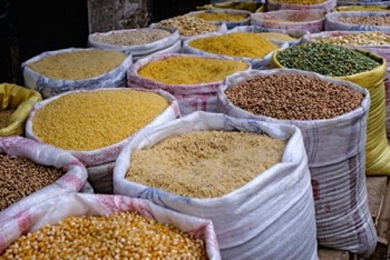 Fez Morocco Peas Corn Rice Pasta Lentils in Bags at Market Canvas Art - Charles O Cecil DanitaDelimont (36 x 24)