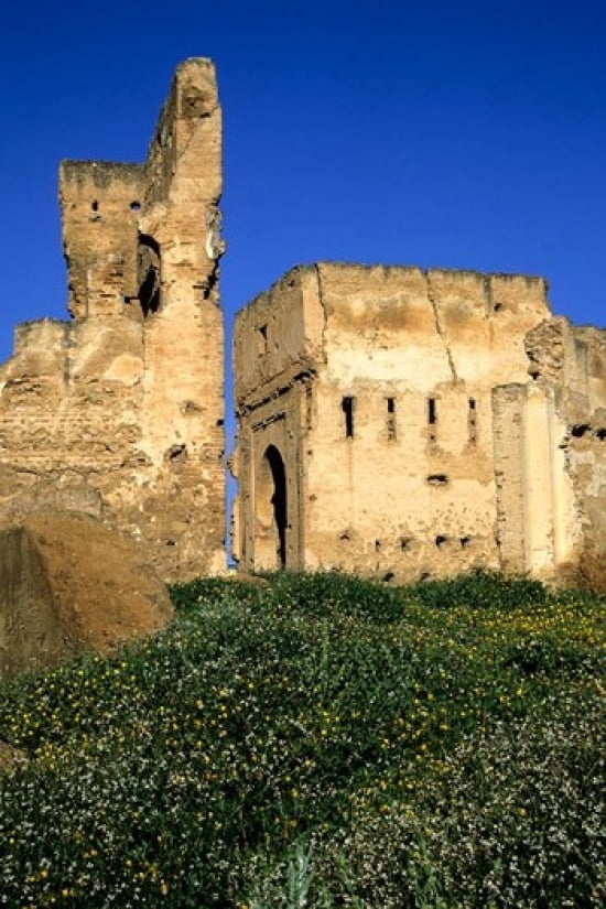 Fez Morocco Ruins of the Merinid Tombs 16th Century Canvas Art - Charles O Cecil DanitaDelimont (12 x 17)