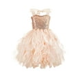 thumbnail image 1 of Fgnfyis Girls Summer Dresses Fashion Halloween Historical Spiral Sequin Sleeveless Tutu Performance Dresses for Girls Rose Gold 4-6 Years, 1 of 4