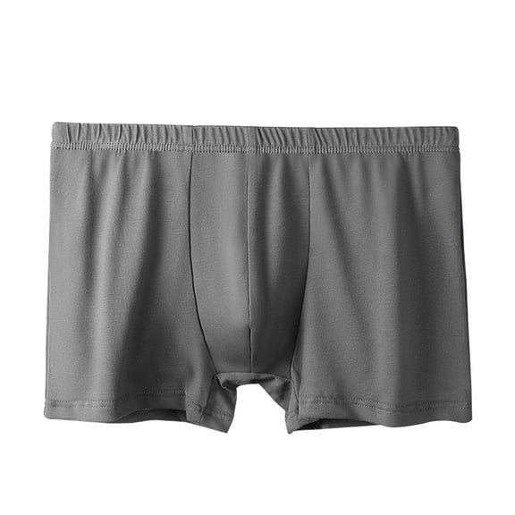 Fgnfyis Mens Underwear Breathable Sports Thin Mens Bottoms Mens Underwear Boxer Briefs Grey L