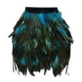 thumbnail image 1 of Fgnfyis Women's Elastic Waist Party Skirt with Feather Detail for Nightlife and Carnival Celebrations Skirt Sky Blue XXXL, 1 of 3